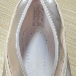 Ballet Dance Shoe Pen or Makeup Bag
