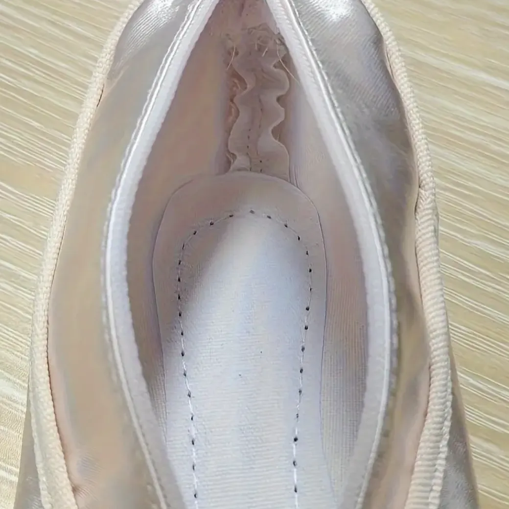 Ballet Dance Shoe Pen or Makeup Bag
