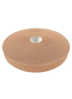 Bloch Pointe Shoe Elastic 1