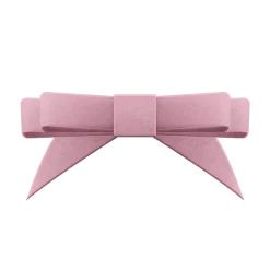 Danse De Paris Velvet Bow