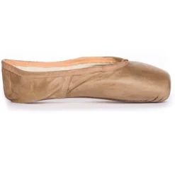 Pointe Shoe Paint Agave