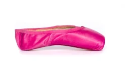Pointe Shoe Paint Dahlia