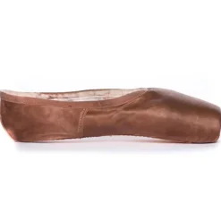 Pointe Shoe Paint Garam