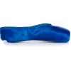 Pointe Shoe Paint Indigo