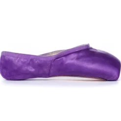 Pointe Shoe Paint Orchid