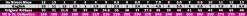R-Class Incande Pointe Shoe Hard Shank